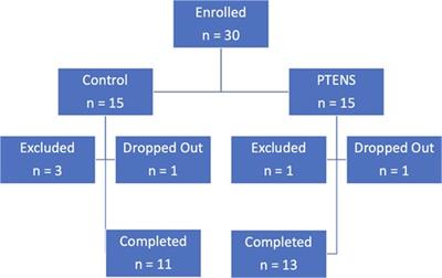 At-home use of parasacral transcutaneous electrical nerve stimulation for pediatric voiding dysfunction: a randomized controlled trial to assess its safety and feasibility